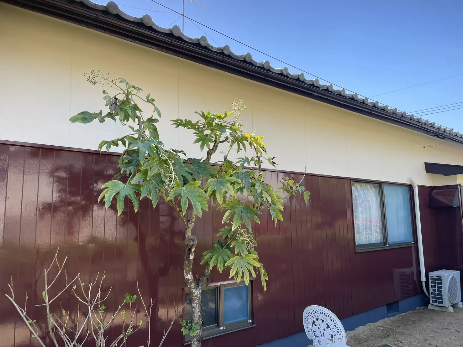 A様邸 外壁塗装工事(岡山県岡山市) After